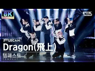 【公式sb1】【SUPER ULTRA 8K】テンペスト「Dragon(飛上)」 フルカメラ(TEMPEST FullCam) SBS 人気歌謡 221204 