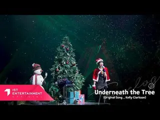 【公式】Apink、Jeong Eun Ji (チョン・ウンジ) - Underneath the Tree (Travelog Christmas Stage