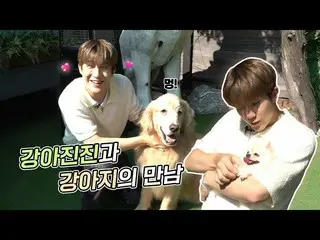 【公式】ASTRO、興味津々🐶「お前……」私の子犬ですか？」 l犬と一緒に癒されてきました🥰💘  