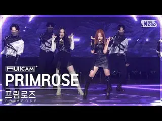 【公式sb1】[お茶の間1列フルカム4K]プリムローズ 'PRIMROSE_ ' (PRIMROSE_  FullCam)│@SBS 人気歌謡 230115  