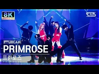 【公式sb1】【SUPER ULTRA 8K】プリムローズ「PRIMROSE_ 」フルカム (PRIMROSE_  FullCam) SBS 人気歌謡 2301