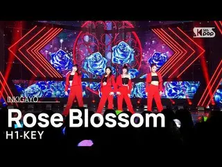 【公式sb1】H1-KEY_ _ (H1-KEY_ ) - Rose Blossom(建物の間に咲いたバラ) 人気歌謡_  inkigayo 20230212 