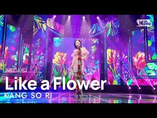 【公式sb1】KANG SO RI(カン・ソリ) - Like a Flower(花らし) 人気歌謡_  inkigayo 20230319  