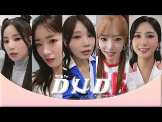 【公式】Apink、13年目アイドルの複話術ライブㅣApink 'DN D' (複化術Ver.)  