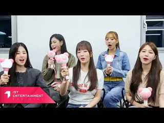 【公式】Apink、Apink Apink 'Candy'応援法  