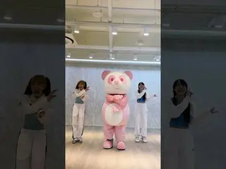 【公式】Apink、別のPANDAとの#DNDChallenge ここでちょっと！パンダタールを使った主人公は？！～ 🐼Hint: ⚽+🍞  