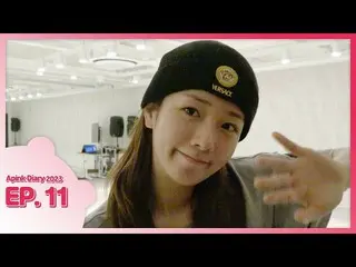 【公式】Apink、Apink Diary 2023 EP.11 ('DND'振り付け練習ビハインド 👯‍♀️ #2)  