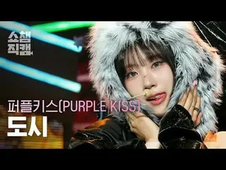 [SHOW CHAMPION__] PURPLE KISS_ _  DOSIE - Intro: Crush_ _  + BBB (PURPLE KISS_  