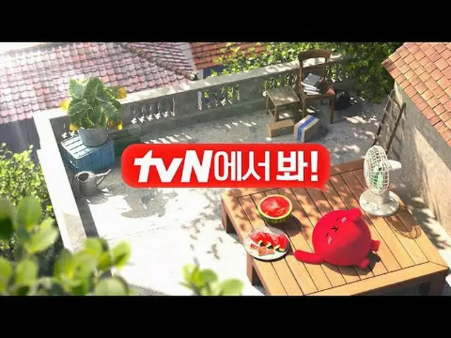 テレビでストリーミング:扇風機風を浴びて楽しむ夏の味🍉 7月もtvNで見て！ #tvN #tvNで見て #月刊tvN #テレビでストリーミング