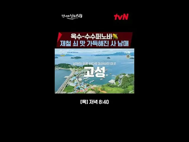 テレビでストリーミング:海からご飯まで{お姉さん産地直送} ✔[木]ディナー8:40 #お姉ちゃん#ヨム・ジョンア_  #アン・ウンジン_  #パク・ジュンミョ