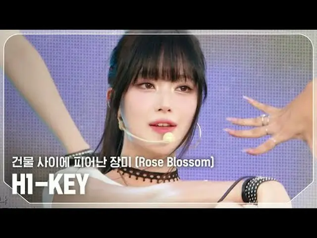 H1-KEY_ (H1-KEY_ _ ) - 建物の間に咲いたバラ (Rose Blossom)  #SHOW CHAMPION_ピオン #H1KEY #建物_