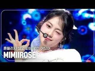 mimiirose_ (MIMIIROSE_ ) - 揺れずに咲く花がどこか

 #SHOW CHAMPION_ピオン #MIMIIROSE_  #揺れないで_