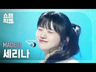 [SHOW CHAMPION__]
 MADEIN_ _  SERINA - UNO (MADEIN_  セリーナ - 宇野)


 #SHOW CHAMPIO