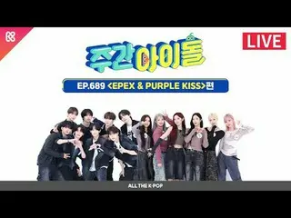 心の中に抱きたいマイドル特集！青春を歌うEPEX＆喧嘩なしに疾走するPURPLE KISS_ と一緒にする週刊アイドル💚 2024年11月13日(水)午後6時