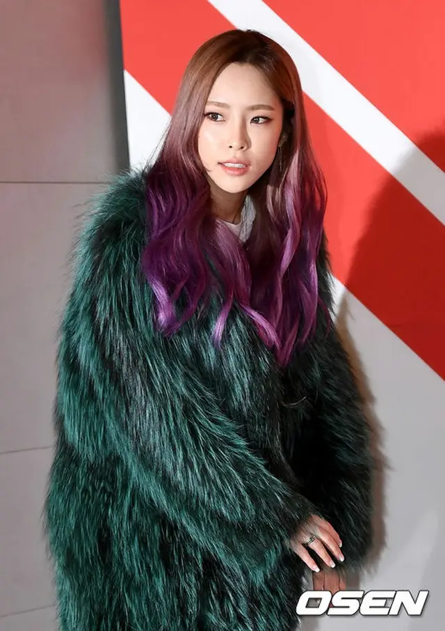 歌手Heize