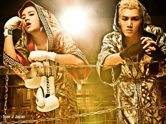 TEAM H