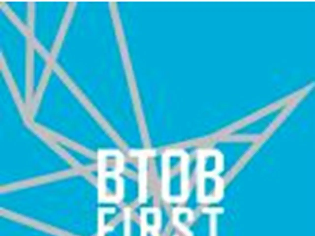 BTOB 1st FAN Meeting [DVD]2014年12月3日（水）セルDVDリリース!! | wowKorea（ワウコリア）