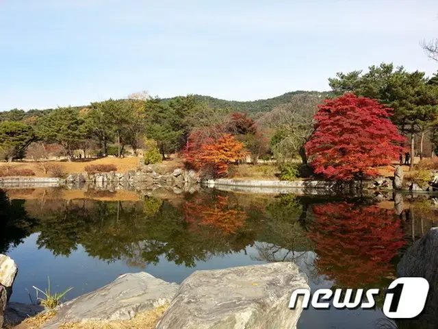 韓国文化財庁の顕忠祠（ヒョンチュンサ）管理所は、最近“日本様式”だと論争されている顕忠祠敷地内の池を韓国伝統様式に整備し直すことにしたと、15日明らかにした。（提供:news1）