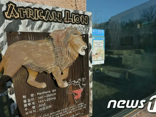 ソウル市内にあるオリニ（子ども）大公園の猛獣エリアで、飼育員がライオンに噛まれて死亡するという事故が発生した。（提供:news1）