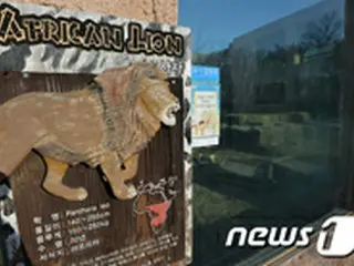 動物園飼育員がライオンに噛まれて死亡