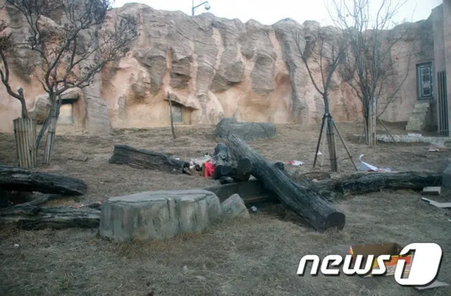 韓国・ソウル市内にあるオリニ（子ども）大公園の猛獣エリアでライオンに噛まれて死亡事故は、被害に遭った53歳の飼育員自身の過失である可能性が高まった。（提供:news1）