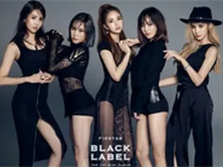 「FIESTAR」、3月ミニアルバムでカムバックへ“180度変身”