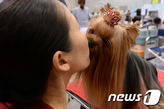 韓国の全世帯の21.8%がペットを飼っていることが調査された。2010年の17.4%から5年ぶりに25%増加た。特に猫を飼っている世帯数が2012年比63.7%増加しており、猫への否定的な認識が減っていることがわかった。