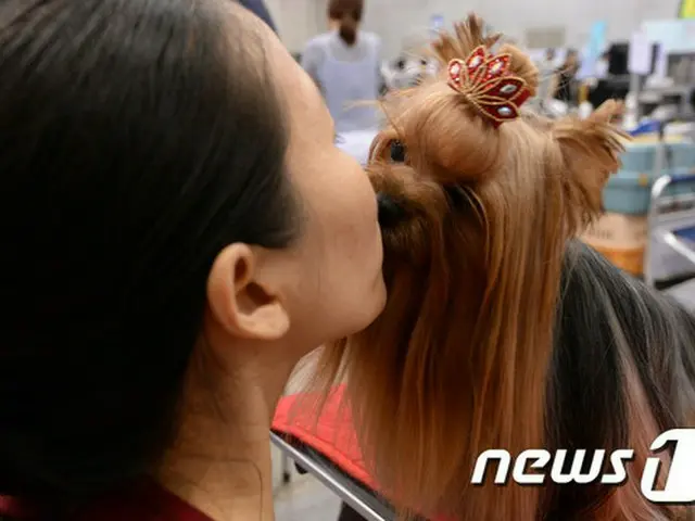 韓国の全世帯の21.8%がペットを飼っていることが調査された。2010年の17.4%から5年ぶりに25%増加た。特に猫を飼っている世帯数が2012年比63.7%増加しており、猫への否定的な認識が減っていることがわかった。