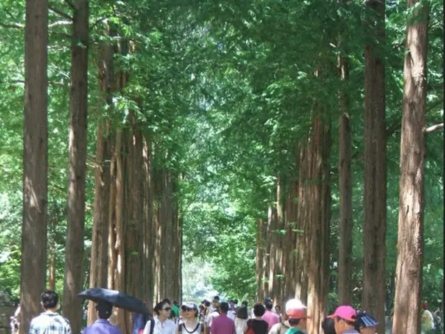 韓国女性の生き方～女性から見た韓国男性