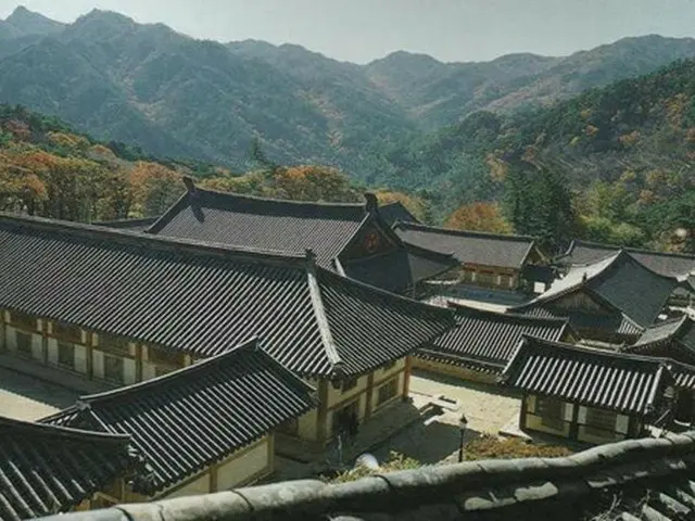 韓国のお寺は山の中腹にある場合が多い（写真提供:ロコレ）