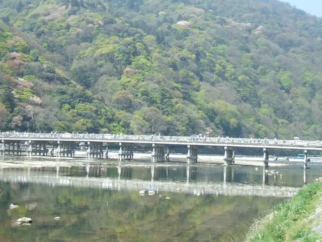 嵯峨野の川に堰を作ったのが秦氏だと言われている（写真は嵐山の渡月橋 / 提供:ロコレ）