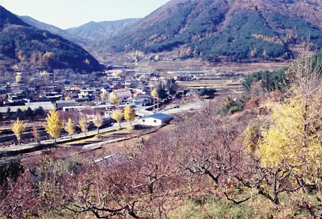 友鹿里の風景