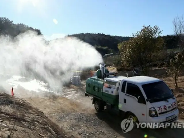 釜山市内になる農家の周辺で行われている防疫作業＝１６日、釜山（聯合ニュース）