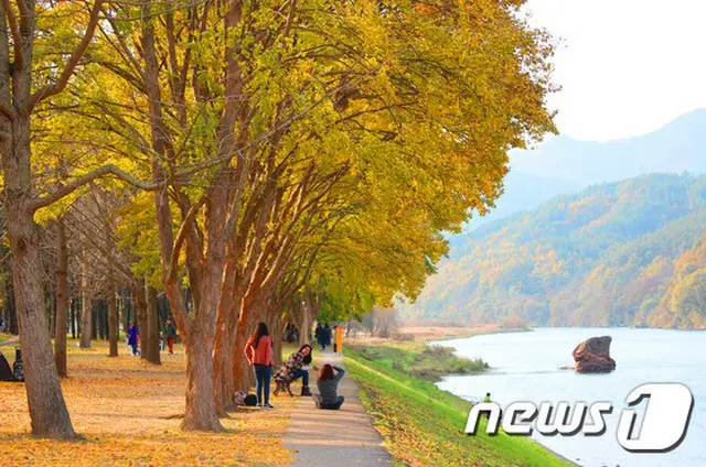 ＜Wコラム＞ことわざから見る韓国人3・底抜けに楽天的、あなたは本当に「韓国」を知っている？（参考画像/画像提供:news1）