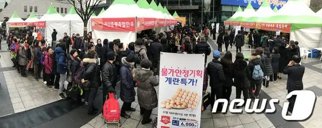 韓国で発生した高病原性鳥インフルエンザによる自営業の被害が深刻であることが調査された。（提供:news1）