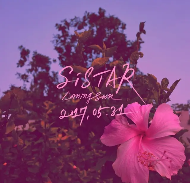 「SISTAR」、30日に”完全体”でカムバックへ（提供:news1）