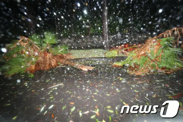 行方不明・大規模停電など、韓国・済州島で台風被害