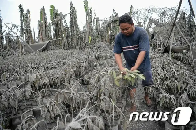 フィリピン火山噴火、韓国人の被害なし…滞在客は順次帰国予定＝韓国（提供:news1）