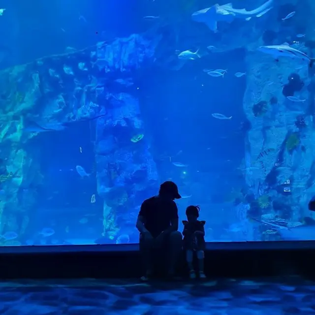 【トピック】女優チャ・イェリョン、夫チュ・サンウクと娘との水族館での様子を公開（画像提供:OSEN）