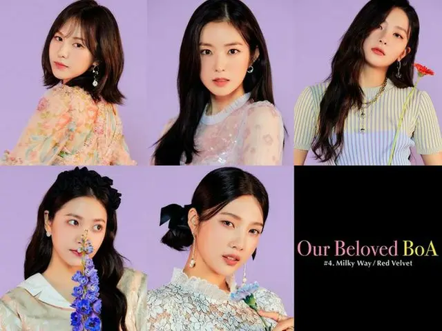 「Red Velvet」、ウェンディ含む完全体でBoAの20周年プロジェクト参加へ（画像:OSEN）