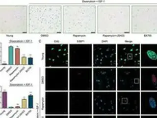 年老いた皮膚を「若返らせる技術」を開発＝韓国国立特殊大学研究チーム