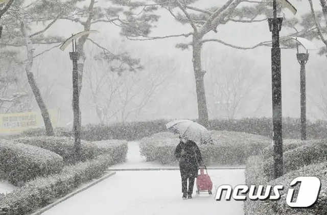 寒波・暖波行ったり来たり、1月の気温差”48年ぶり”最大19.6度…北極温暖化が影響=韓国（画像提供:wowkorea）