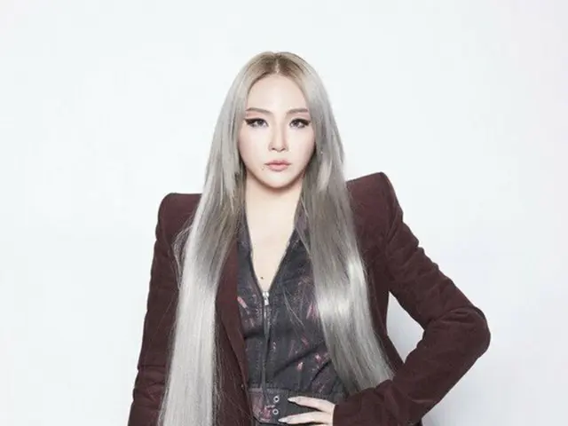 【全文】CL（元2NE1）、母親が心臓まひで死去（画像提供:wowkorea）