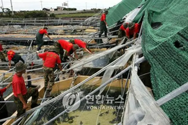 大きな被害を受け海兵隊員らが復旧作業を進める済州市のヒラメ養殖場＝19日、済州（聯合）