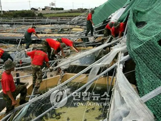 大きな被害を受け海兵隊員らが復旧作業を進める済州市のヒラメ養殖場＝19日、済州（聯合）