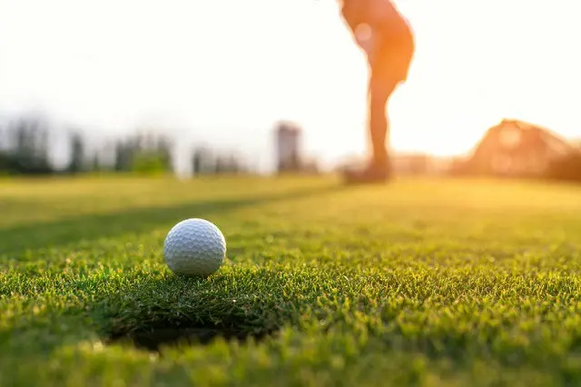 ゴルフ日本代表の畑岡、豪雨で中断のLPGAマラソン・クラシックで優勝＝韓国報道（画像提供:wowkorea）