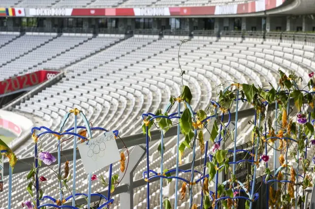 韓国の弁当だけを批判する東京五輪…「日本でも“責任転嫁するな”」（画像提供:wowkorea）