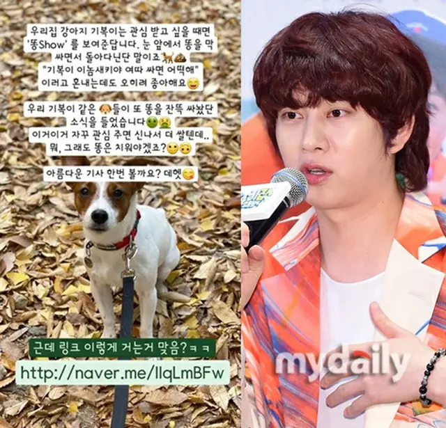 ヒチョル（SUPER JUNIOR）、保護犬めぐる発言で物議…間接的に立場表明「犬がいっぱい“ふん”をしたと聞いた」（画像提供:wowkorea）