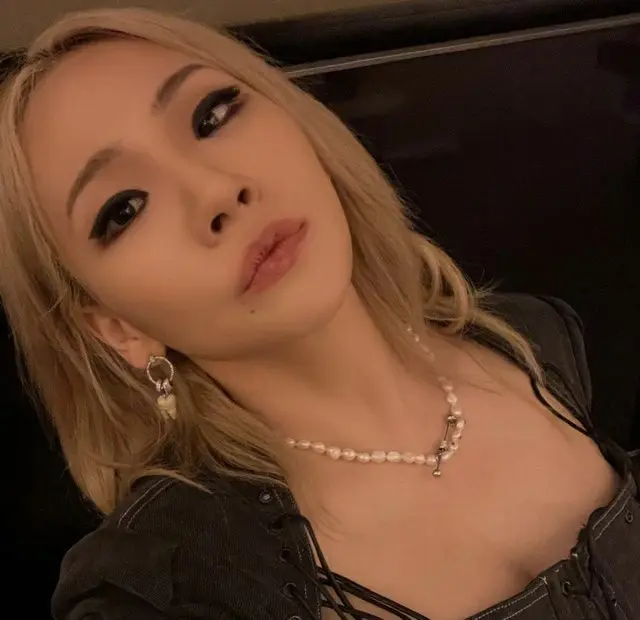 歌手CL、下着の上にドレスの「破格ファッション」...「MET GALA」ひっくり返してやった（画像提供:wowkorea）