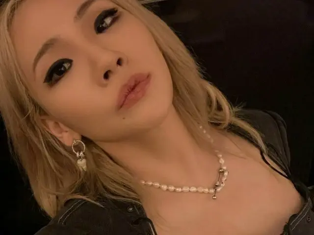 歌手CL、下着の上にドレスの「破格ファッション」...「MET GALA」ひっくり返してやった（画像提供:wowkorea）